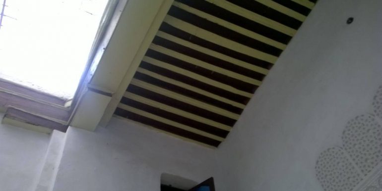 14536731_10154671699097932_229715756_o