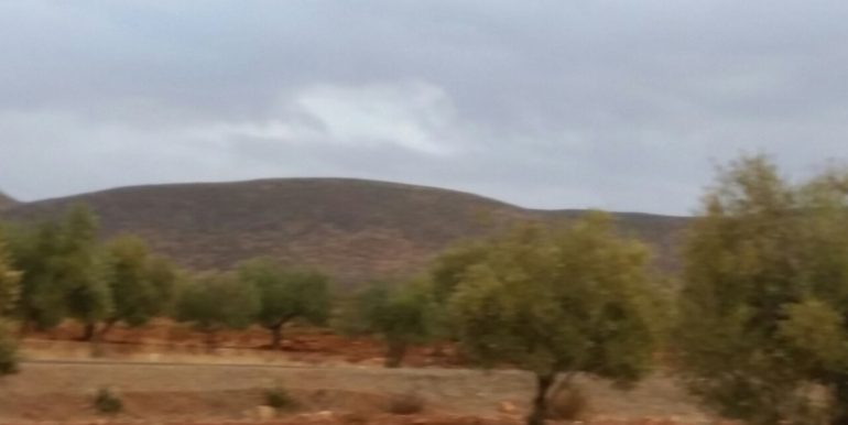IMG-20171204-WA0015