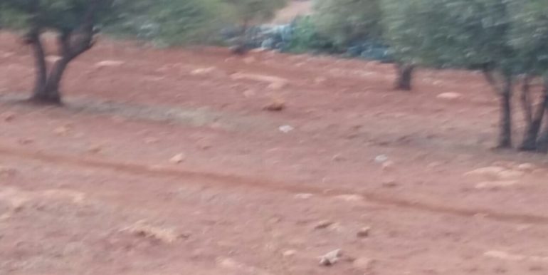 IMG-20171204-WA0016