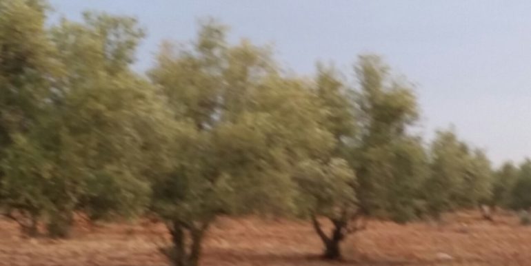 IMG-20171204-WA0017
