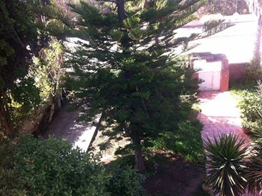 31453973_2097818687165319_6335602143474483200_n