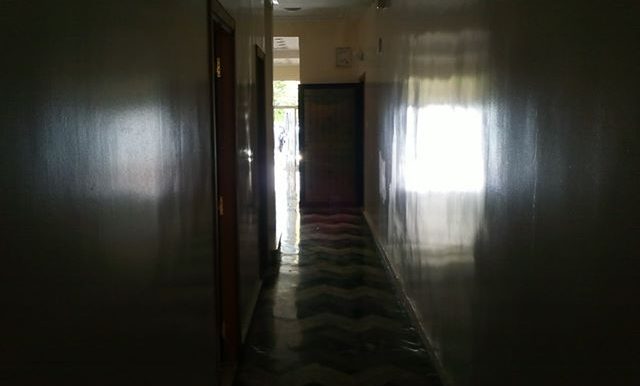 59999416_2443197962576761_8994562120926363648_n