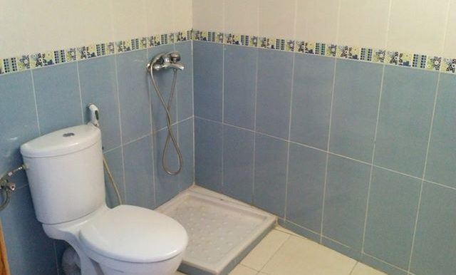 60041447_2331645070417022_1647267545977192448_n