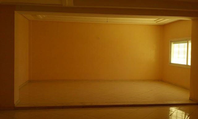 60069596_364719070828072_3801265963580522496_n