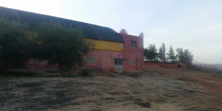 8a964b8a-2858-4e12-bb27-a7631f68c538