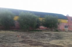 Ferme avec projet commercial