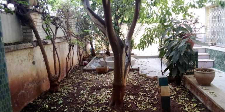 5ad04ccf-c7fb-424c-abfb-33758769acd5