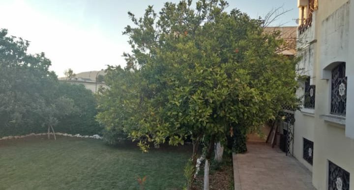 11b5a075-4e98-4bee-91f7-0fb2bd6f0bb6 (1)