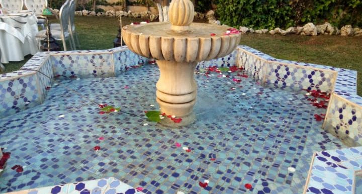 76278065-7d34-4529-9f21-14fdcbfcc3f6