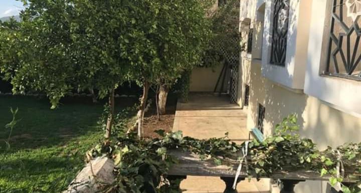 b61b21e9-5976-48ea-849e-34474d0fc72f