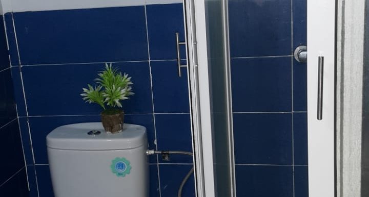 f39815f5-7ea9-432c-95bb-6779c953e114