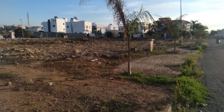 f1e9486a-780d-4797-88b6-41a55f7f3eb9