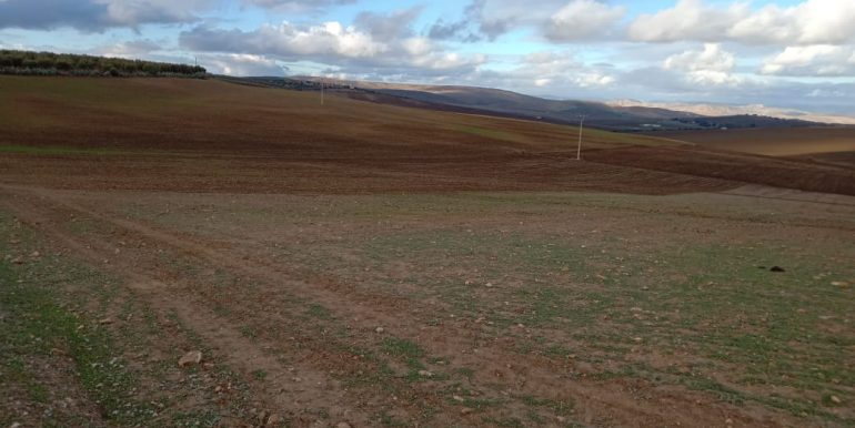 09e44631-0ed1-42c6-84a9-f656926a0aef