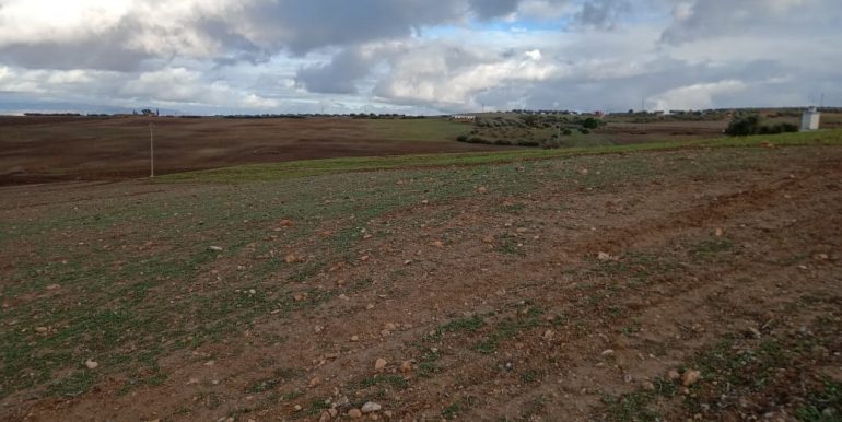 1375611e-64f2-421b-8619-46835b0e8f30