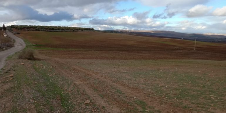 2ac5a8e3-7a26-4cf0-b77c-736e2dbeebb4