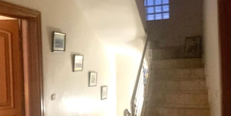 9241cf3f-a007-4676-8343-b6396fe3a457