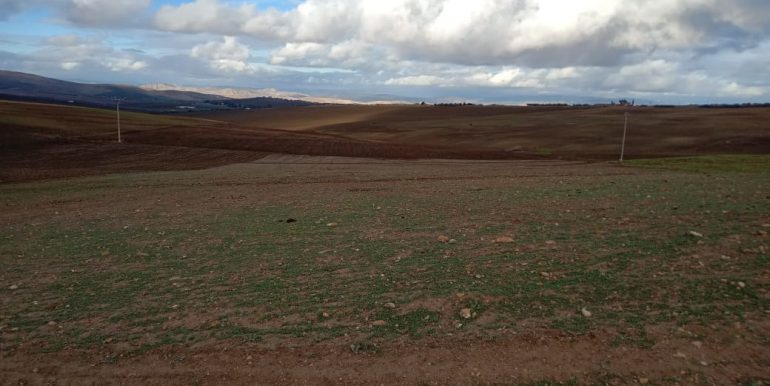 95b5f631-b2fe-4870-9e56-914ff4cf65d5