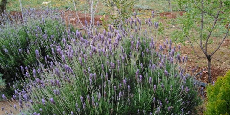 184e466a-c058-435d-9be5-636091f93659