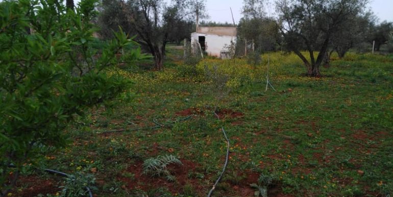 9786d43f-d92f-45a8-aa5c-dc4b6e84df0f