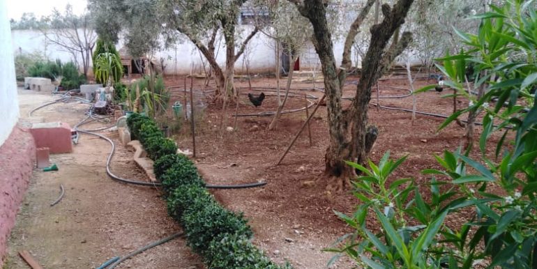 cf7e2734-e46c-4d92-87aa-c4685702fbaf