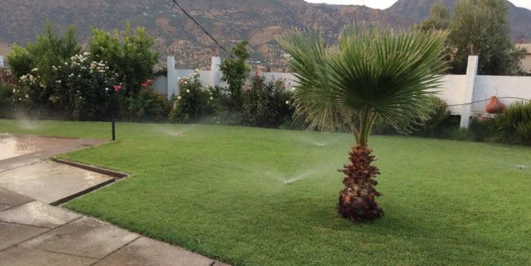 591feafa-f37a-49cd-8f19-3025e7d769d6