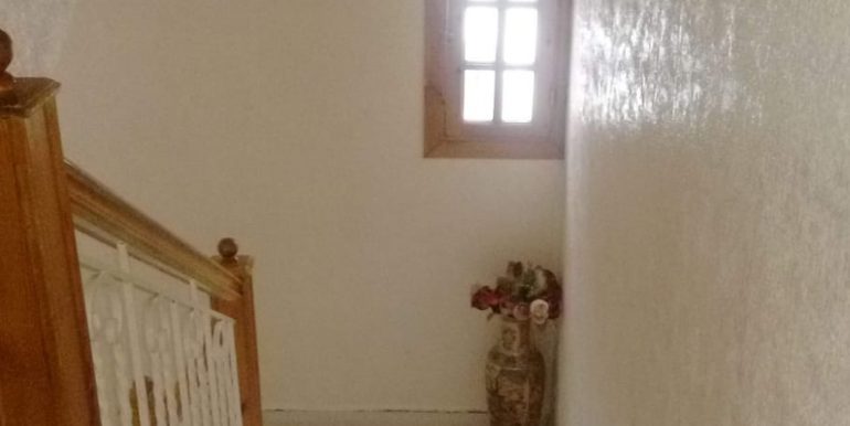 2948aef4-ce36-4b4d-a570-d159472957ad