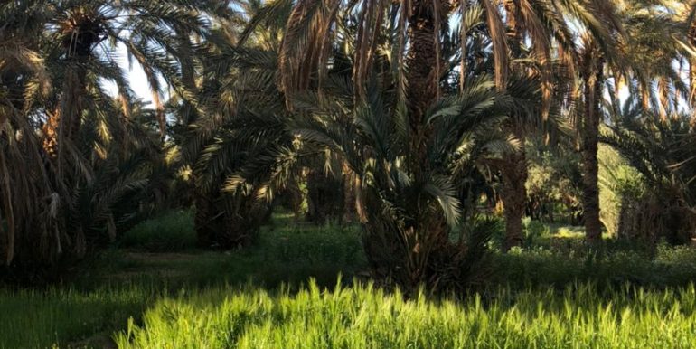 7eb122e1-0957-4678-86bc-9a65861bb10e