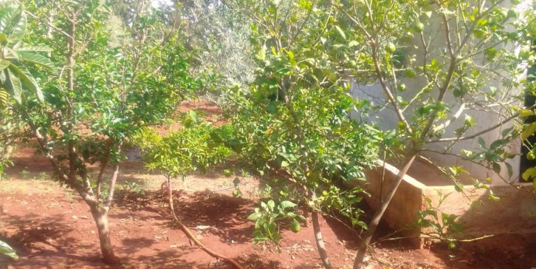 4338a408-adab-43be-a41d-9bfd28ca955e