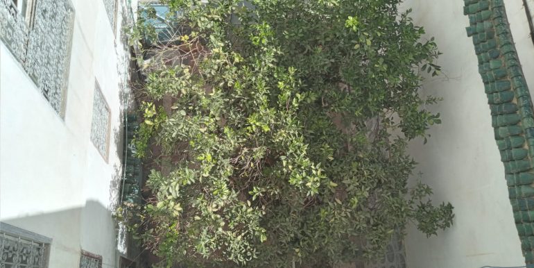 ebe2c75f-ee63-4067-a3ec-e9ba7c472b97