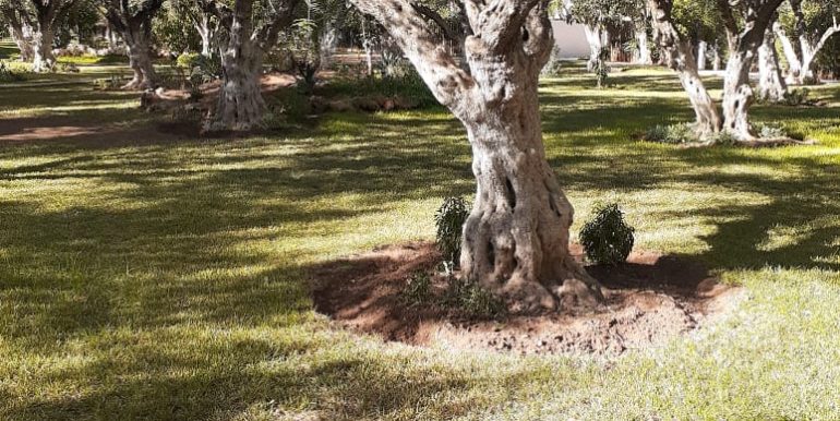 01709e71-1b0a-4029-9cab-08a40f3e48eb