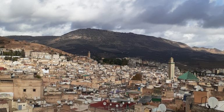 04a21e93-0d2d-43aa-8f49-93b9668b98ad