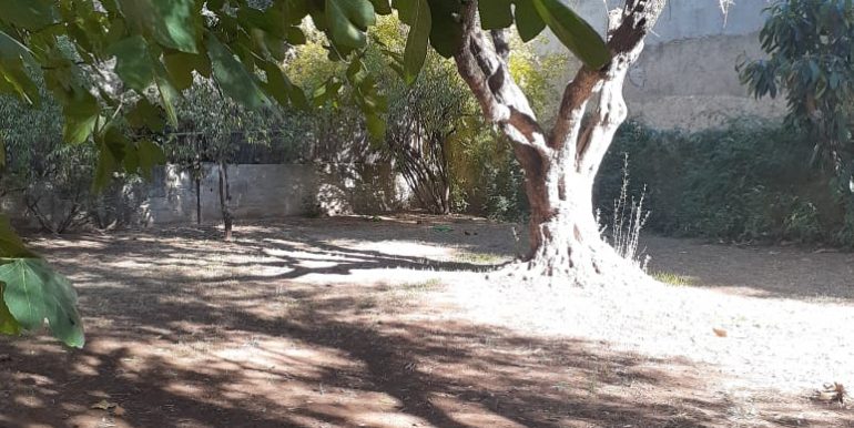 79ebd4f0-7d48-4768-aae1-ccfde342c263