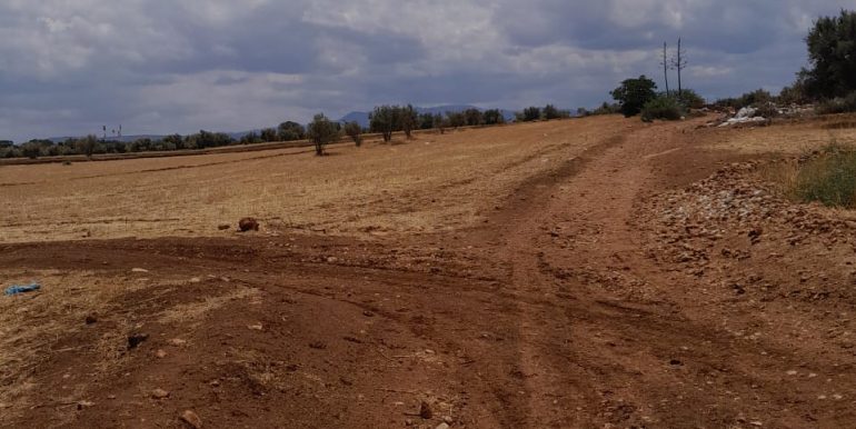 47d7a54b-6a90-438a-bf22-65aa1b0d2c15