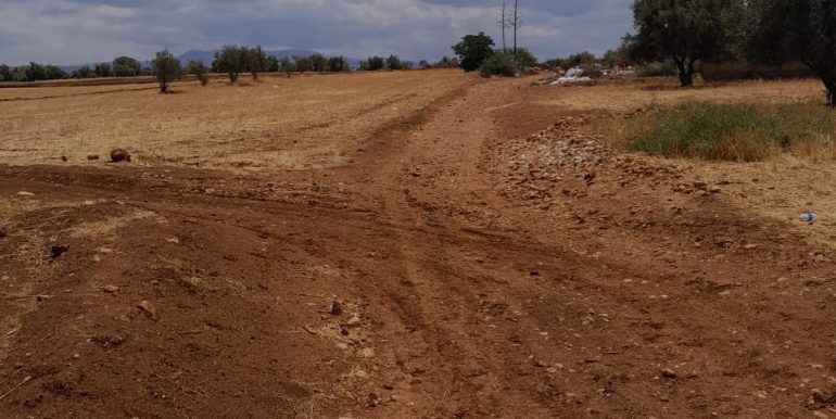 601d2678-ee68-42b1-82eb-c4f88f80221a