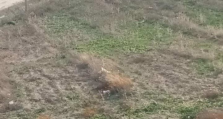 c9cdc2b3-65b2-4cc4-9d07-50179e35ba54