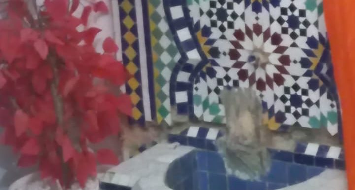 e8a5f940-a001-4d86-8064-2beb62b6d641