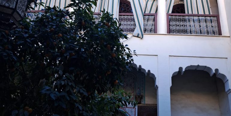 51de6031-23cd-4311-b7e1-7d959bbd382e