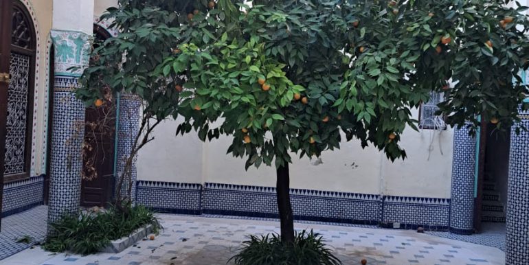 85090d19-19f3-4480-b623-2f78189cd9ce