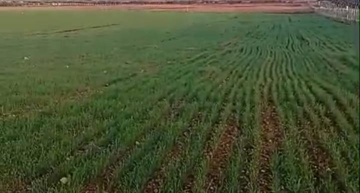 e3c650f7-ee47-4301-aa79-c2fdcb99d5b1