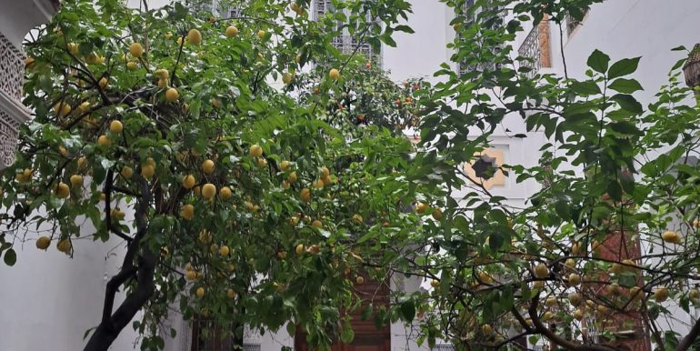 3007f649-03d0-44c2-9198-54f42307f544