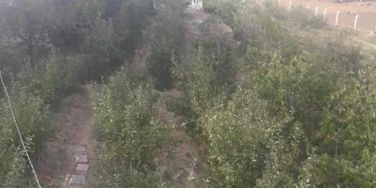 924f5ced-5a75-4561-9924-085e0119ecbe