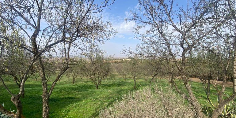 35bd6a04-7799-47a2-80b6-04dec4980b6b