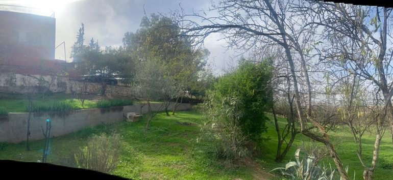 40f01728-ca42-4b78-a987-5ceca3df0e94