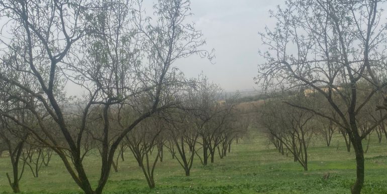 ec00b129-d8ef-4558-bffa-525f95b9c074