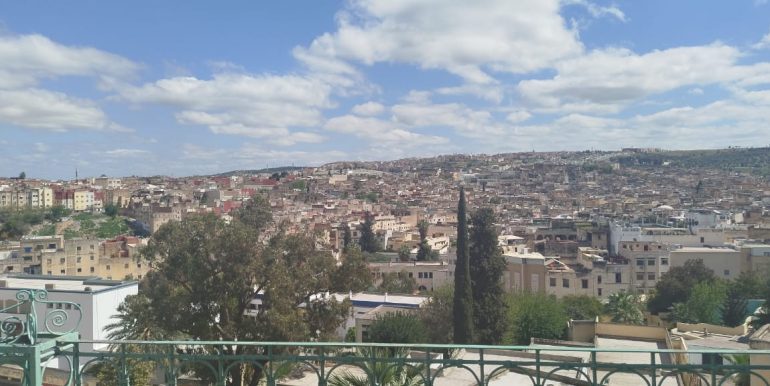 02fea47f-2da5-4b81-a4de-185fa54c3b0b