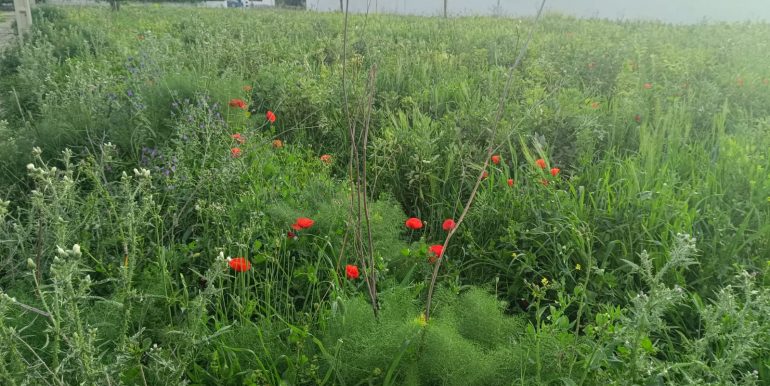 b70226a5-3a9b-4ec0-912c-aadfe588195f