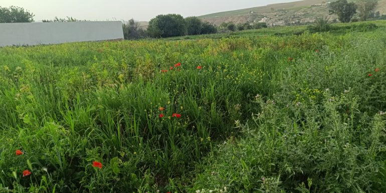 e315b7e3-7d00-481c-ade7-6aae57ad732e