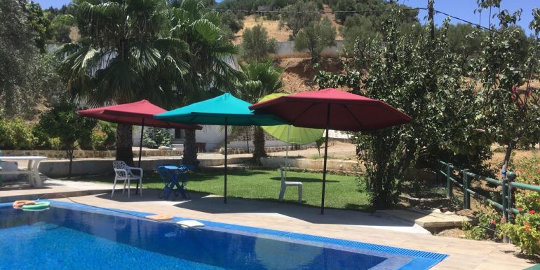 384f082e-67de-45c0-a14a-23f2b6bb6775