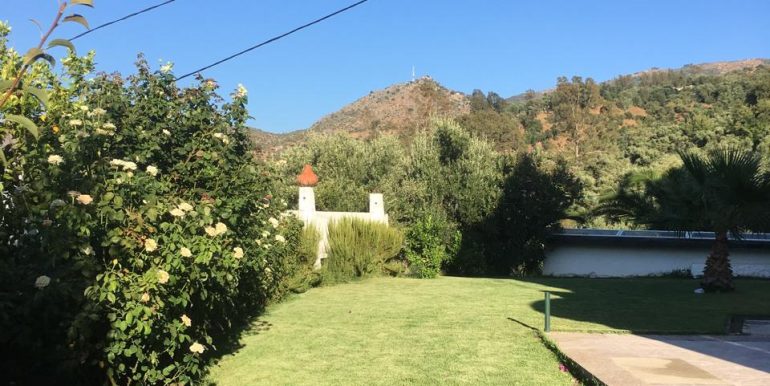 f38187e9-3808-4c56-b3b7-f832d86d6640