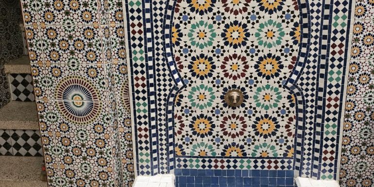 7ae63cc8-e532-47b9-82da-84b3b37d33c2